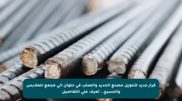 قرار جديد لتحويل مصنع الحديد والصلب في حلوان إلى مجمع للملابس والنسيج.. تعرف على التفاصيل